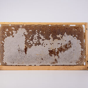 μελη με κηρηθρα