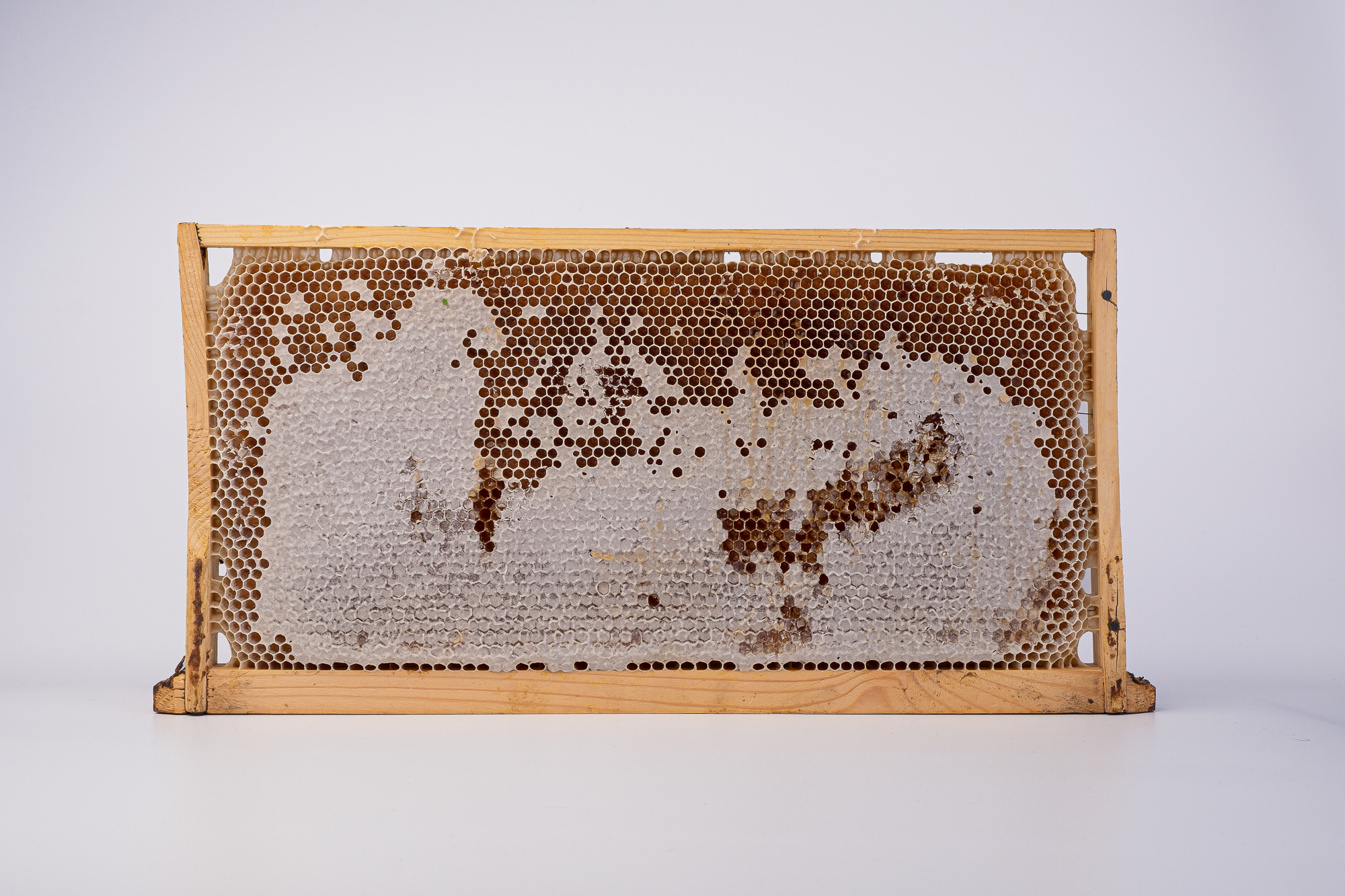 μελη με κηρηθρα